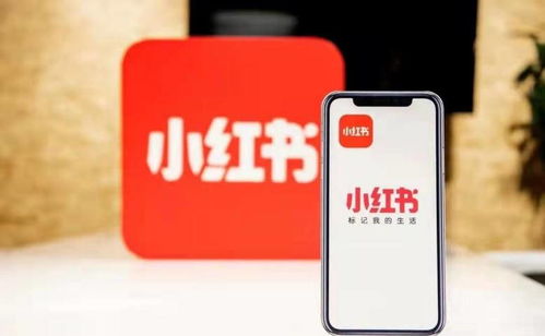 杭州噫融網絡 以專業運營驅動小紅書種草推廣，助力計算機軟硬件品牌搶占市場先機